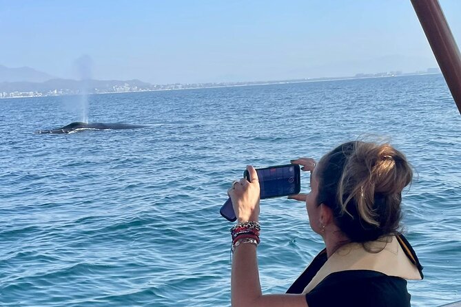 Whale Watching Experience in Puerto Vallarta - Four hours across Banderas Bay