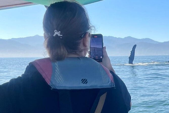 Whale Watching Experience in Puerto Vallarta - The Bruna keeps the ride comfortable