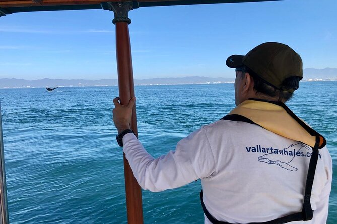 Whale Watching Experience in Puerto Vallarta - Watching whales in Banderas Bay