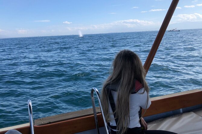 Whale Watching Experience in Puerto Vallarta - Food, drinks, and small comforts