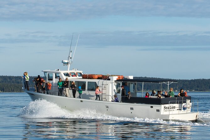 Whale Watching from Friday Harbor - A closer look at the MV Sea Lion