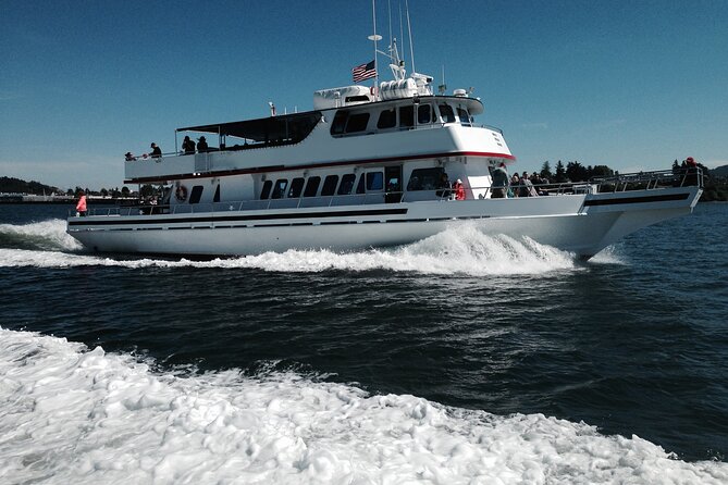 Whale Watching from Friday Harbor - Orcas, humpbacks, minke whales, and the backup plan
