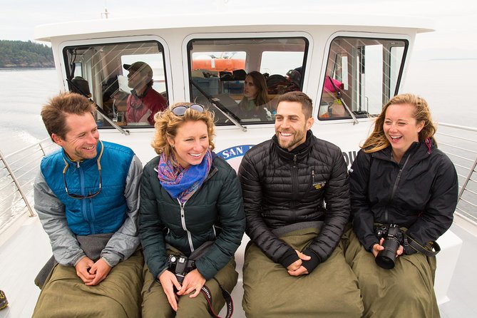 Whale Watching from Friday Harbor - Timing, weather, and what to pack