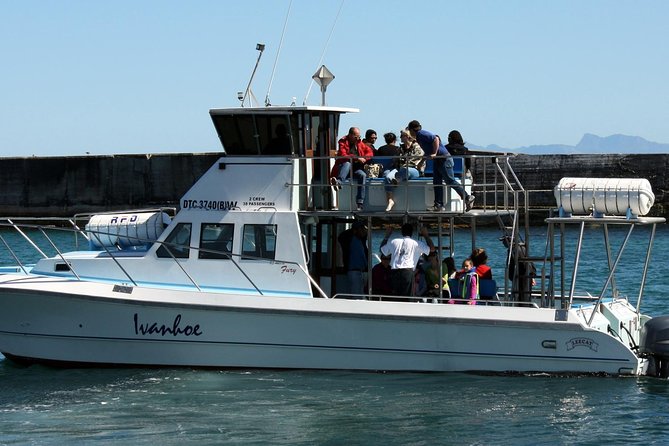 Whale Watching from Gansbaai - Weather, clothing, and comfort
