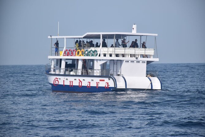 Whale Watching Galle with Pickup & Drop - From Galle to Mirissa before sunrise