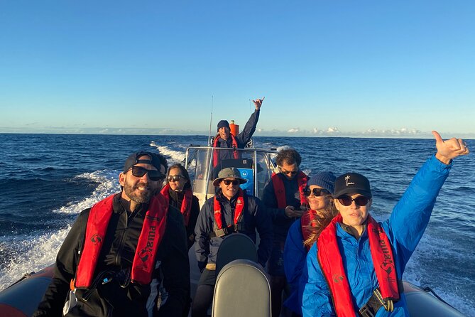 Whale Watching Gold Coast - Weather, cancellations, and what you should plan for