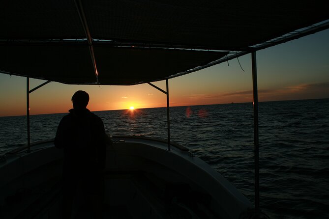 Whale Watching Group Tour in San Jose del Cabo - Is $99 a fair price?