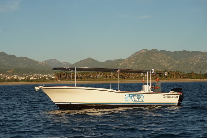 Whale Watching Group Tour in San Jose del Cabo - The hydrophone changes the experience