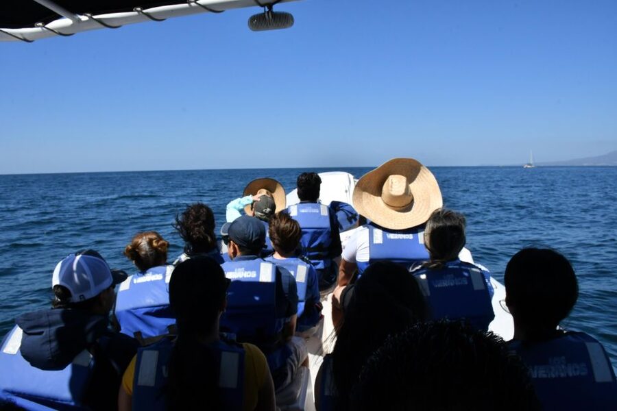 Whale Watching Guaranteed Experience in Puerto Vallarta - Why Banderas Bay is the main event