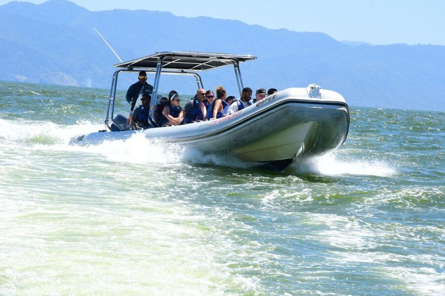 Whale Watching Guaranteed Experience in Puerto Vallarta - Setting out from Nuevo Vallarta