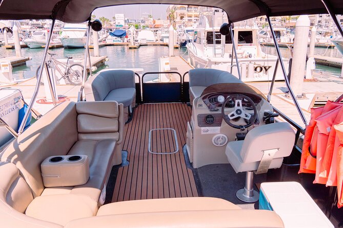Whale Watching in Cabo San Lucas on board our Luxury Trimaran! - The small group is a real advantage