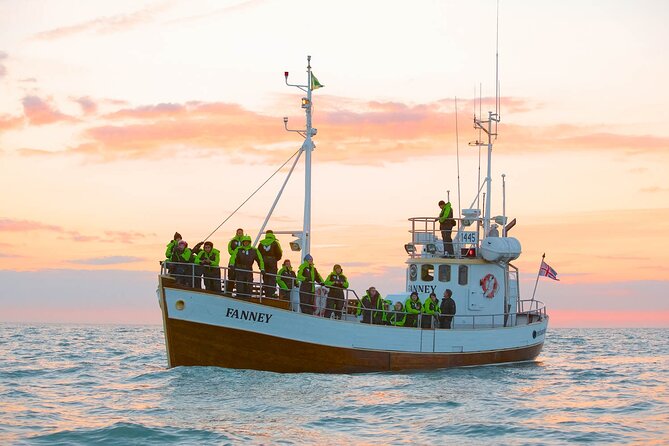 Whale Watching in Husavik - Who should book this Húsavík outing