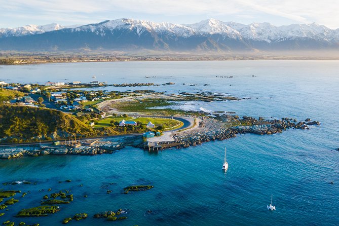 Whale Watching in Kaikoura by Boat - Is $111.39 good value?