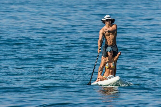 Whale Watching in Trincomalee by Catamaran cruise - Swimming, snorkeling, and paddle boarding