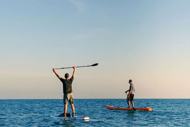 Whale Watching in Trincomalee by Catamaran cruise - Is $160 a fair price?
