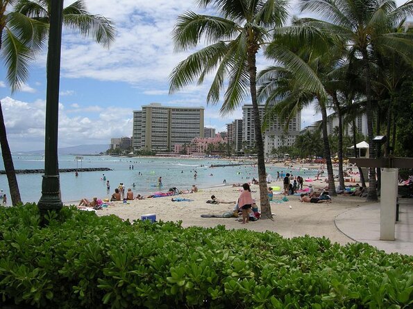 Whale Watching & Late Breakfast Cruise in Honolulu - How whale watching actually works