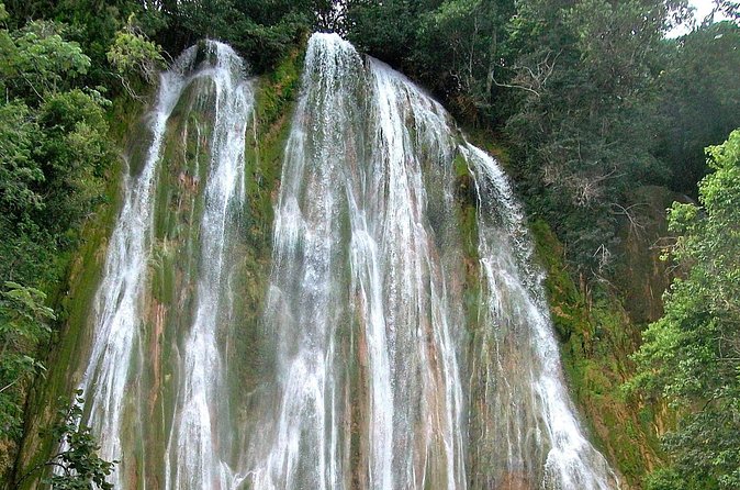 Whale Watching & Limón Waterfall Day Trip - What the $169 price really covers