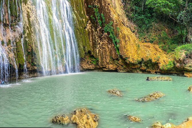 Whale Watching & Limón Waterfall Day Trip - My recommendation