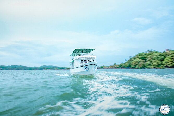 Whale Watching Mirissa Ultimate Tour in Sri Lanka with Breakfast - Leaving Mirissa Harbour at 7:00 AM