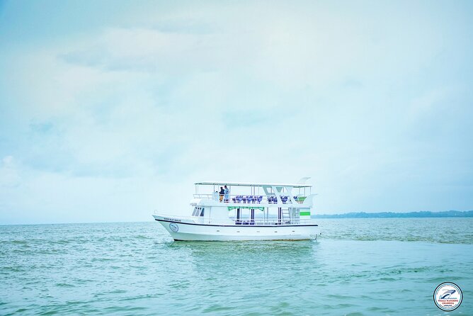 Whale Watching Mirissa Ultimate Tour in Sri Lanka with Breakfast - Breakfast, fruit, and useful onboard supplies