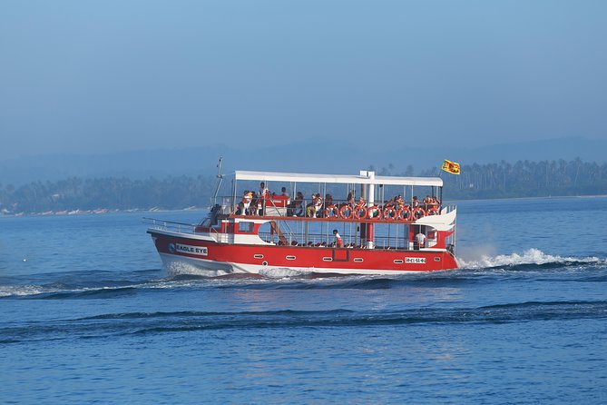 Whale Watching Mirissa with Eagle Eye - What you might actually see