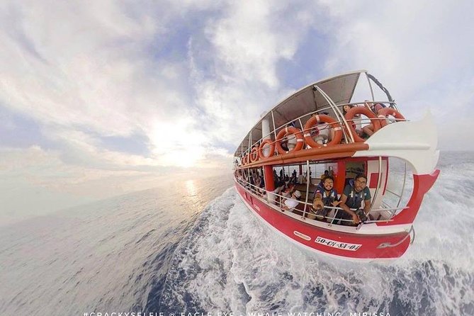 Whale Watching Mirissa with Eagle Eye - Is $70 fair for this morning?