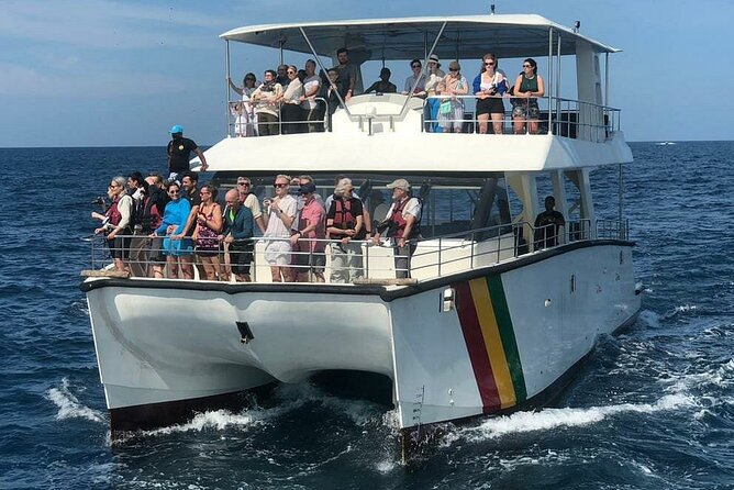 Whale Watching Mirissa with ( WWC ) - Tea, breakfast, and the first hours offshore