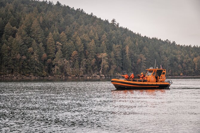 Whale Watching Nanaimo Open Boat Tour - Key points before you book