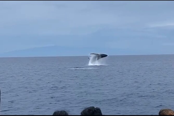 Whale Watching on Big island - Leaving Honokohau Harbor for open water
