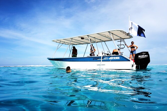 Whale watching on the preserved and quiet coast of Paea (Pk26) - Is the $205.27 price good value?