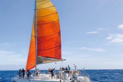 Whale Watching Sail in Honolulu with Open Bar