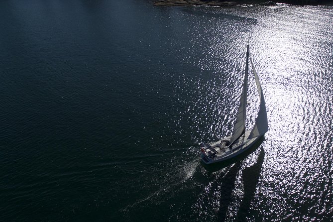 Whale Watching Sailing Experience in Sydney - What the crew adds to the experience