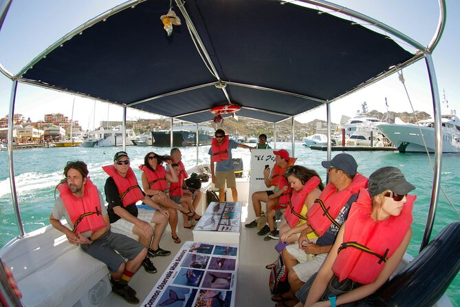 Whale Watching Snorkel Combo - Snorkeling at a More Secluded Reef
