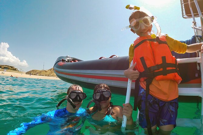 Whale Watching & Snorkeling Combo in Los Cabos with Photos Included - Why this combo works better than a single boat trip