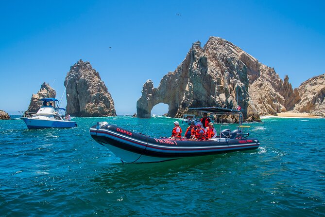 Whale Watching & Snorkeling Combo in Los Cabos with Photos Included - Photos and videos make the price easier to judge