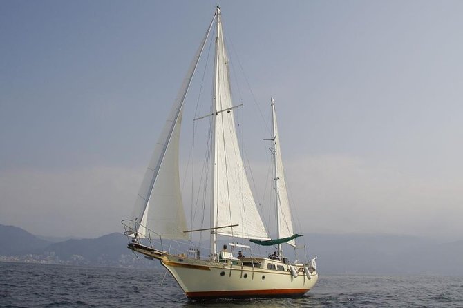 Whale Watching The Best Of Puerto Vallarta - Humpbacks, calves, and the short season