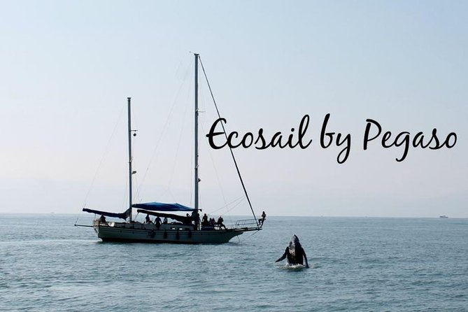 Whale Watching The Best Of Puerto Vallarta - Drinks, snacks, and the practical value of $99