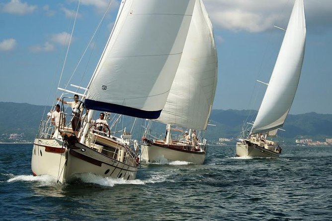 Whale Watching The Best Of Puerto Vallarta - What to bring and how to enjoy the search