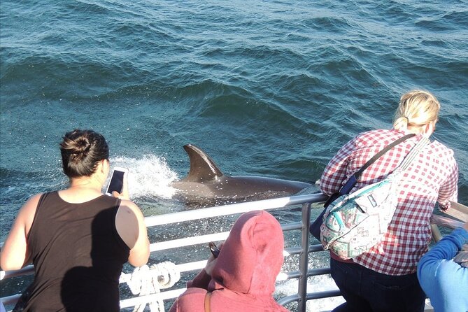Whale Watching Tour from Anacortes - Price, group size, and what you get for $119