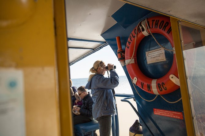 Whale-Watching Tour from Vancouver - Orcas, humpbacks, and the wildlife roll call
