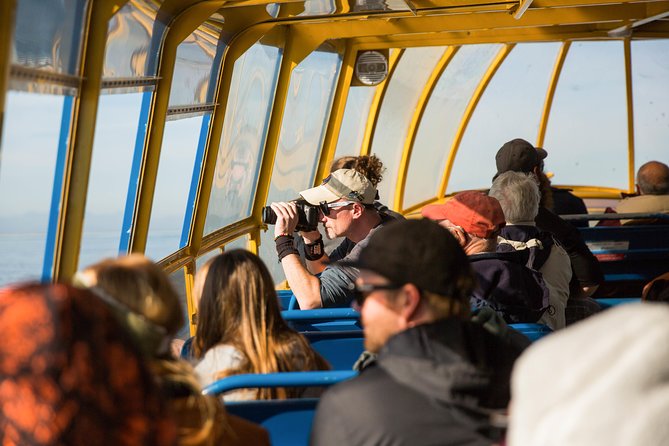 Whale-Watching Tour from Vancouver - Boat comfort, weather, and the reality of open water