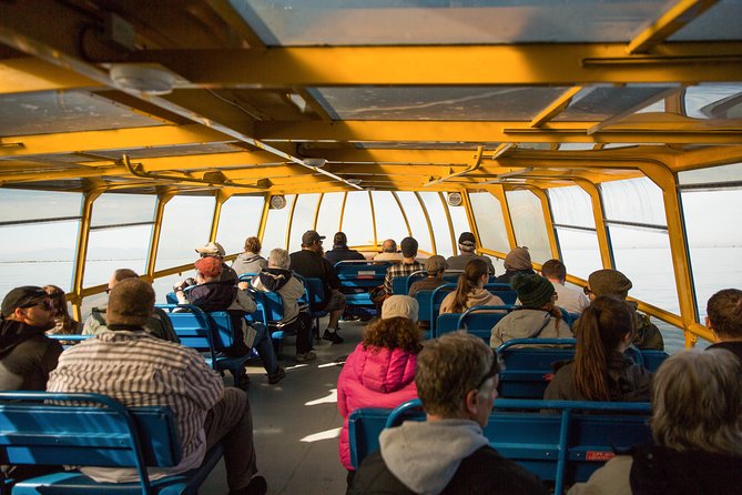 Whale-Watching Tour from Vancouver - Is $157.09 a fair price?