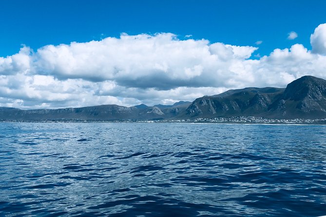 Whale Watching Tour in Hermanus with Hotel Pickup - What the private format changes