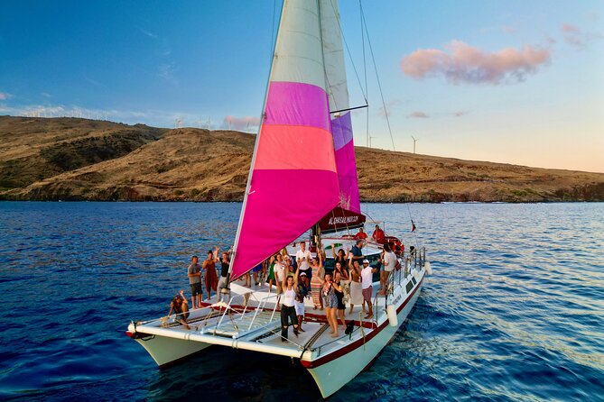 Whale Watching Tour on a Charming Hawaiian Catamaran From Maalaea - December to March is whale time in Maui