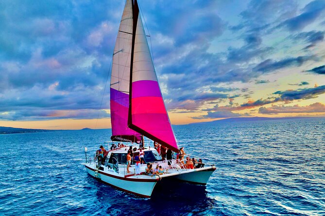 Whale Watching Tour on a Charming Hawaiian Catamaran From Maalaea - What $85 buys you