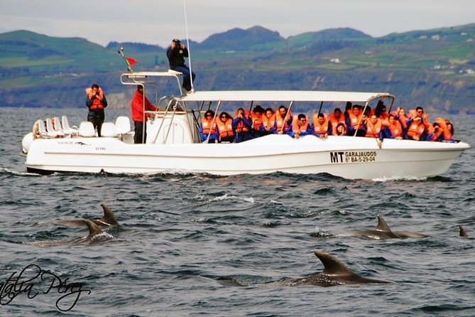 Whale Watching Tour + Vila Franca Islet: Full-day with lunch - What the boat ride is really like