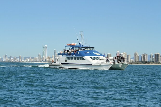 Whale Watching Tour with Spirit of Gold Coast - Weather, Cancellations, and Sea Conditions