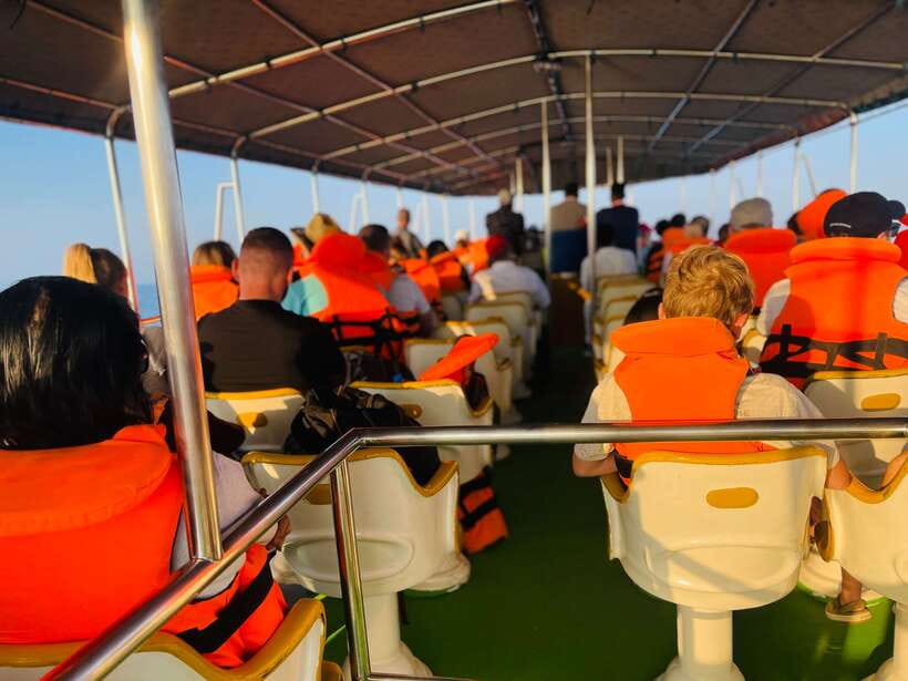 Whale Watching Tour with Transfers - Who should book this experience?