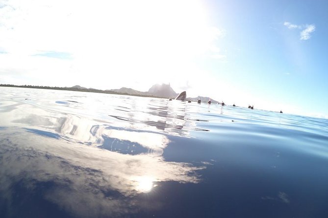 Whale Watching Tours in Bora Bora - Listening for whales with the onboard hydrophone