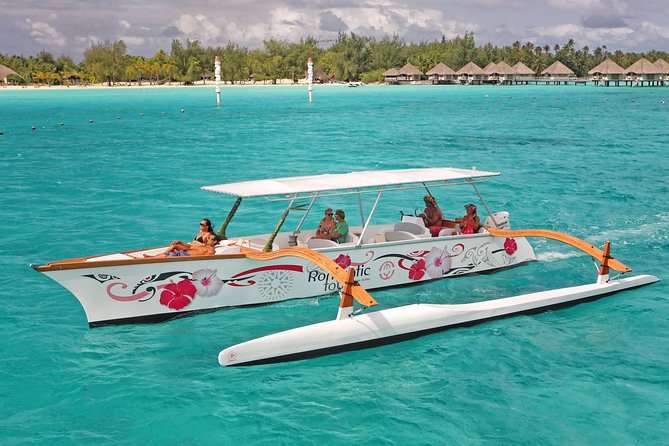 Whale Watching Tours in Bora Bora - When the whales cooperate, the reward can be huge